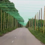 Уряд визначив відповідального за відновлення доріг на прифронтових територіях