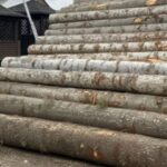 Правоохоронці зупинили тіньовий експорт кругляку до Молдови новини LB.ua