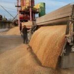 у серпні Україна експортувала 1423 млн тонн агропродукції