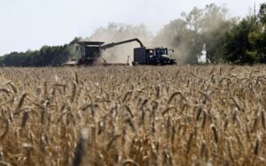 Аграрії 9 прифронтових областей подали 2319 заявок на зернові рукави
