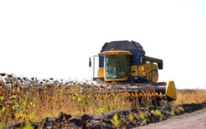 В Україні зібрали 371 млн тонн зернових і 139 млн тонн олійних